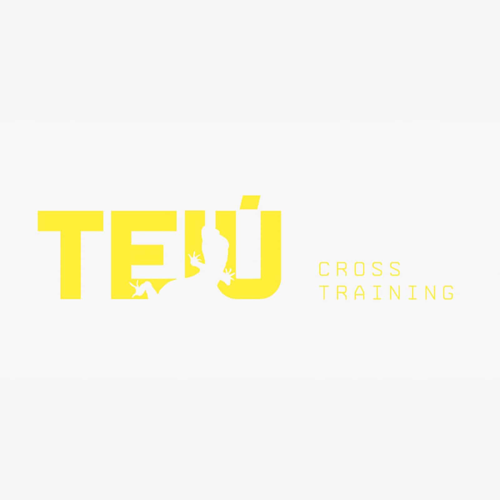 teu